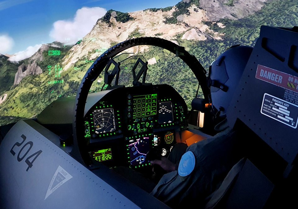 Professional military flight simulator