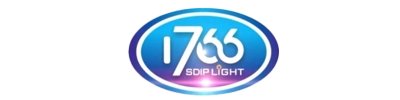 SDIP